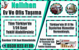 Nallıhan Evden Eve Nakliyat